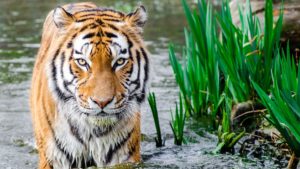 Lorem ipsum dolor sit amet consectetur